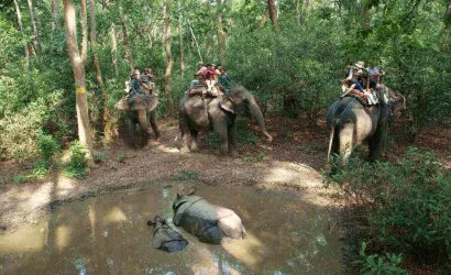 Elephant Ride